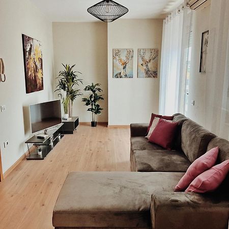 טיראנה Cozy Rooftop Apartment - Your Home, Away From Home! מראה חיצוני תמונה