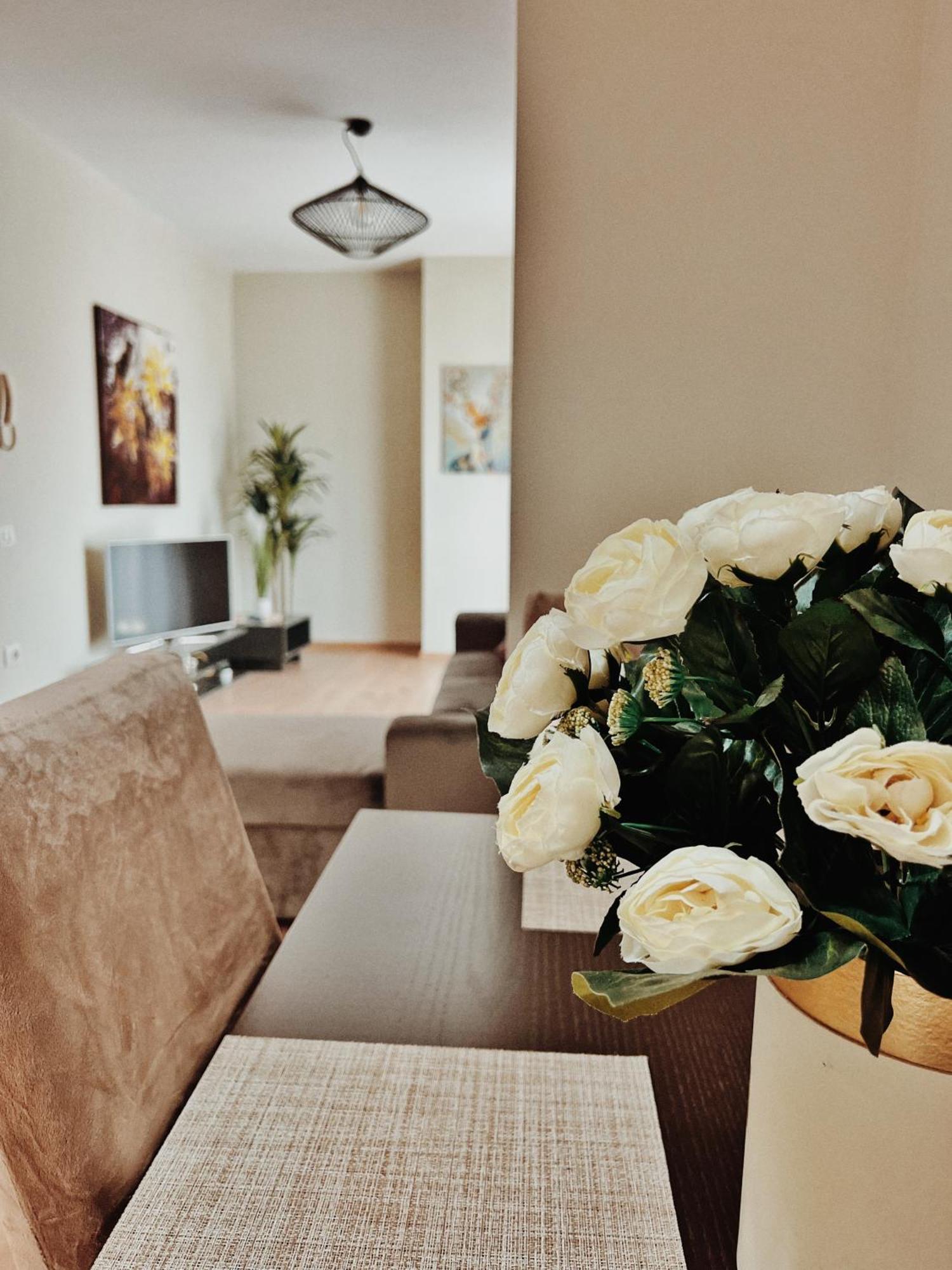 טיראנה Cozy Rooftop Apartment - Your Home, Away From Home! מראה חיצוני תמונה